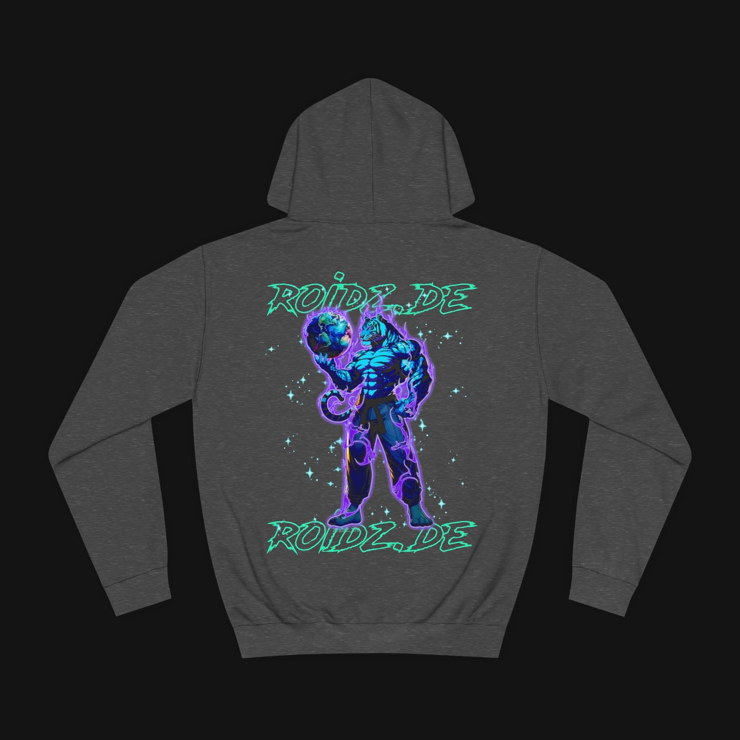 Hoodie (80% Baumwolle) - Roidz, hinten