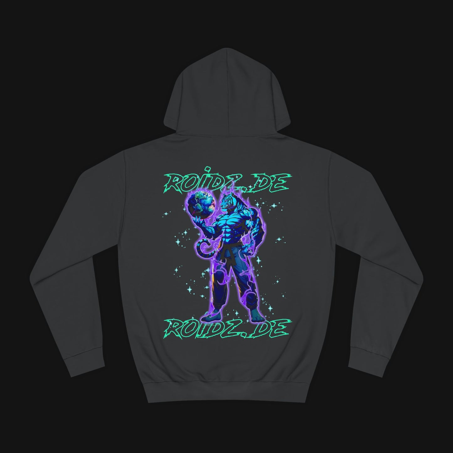 Hoodie (80% Baumwolle) - Roidz, hinten