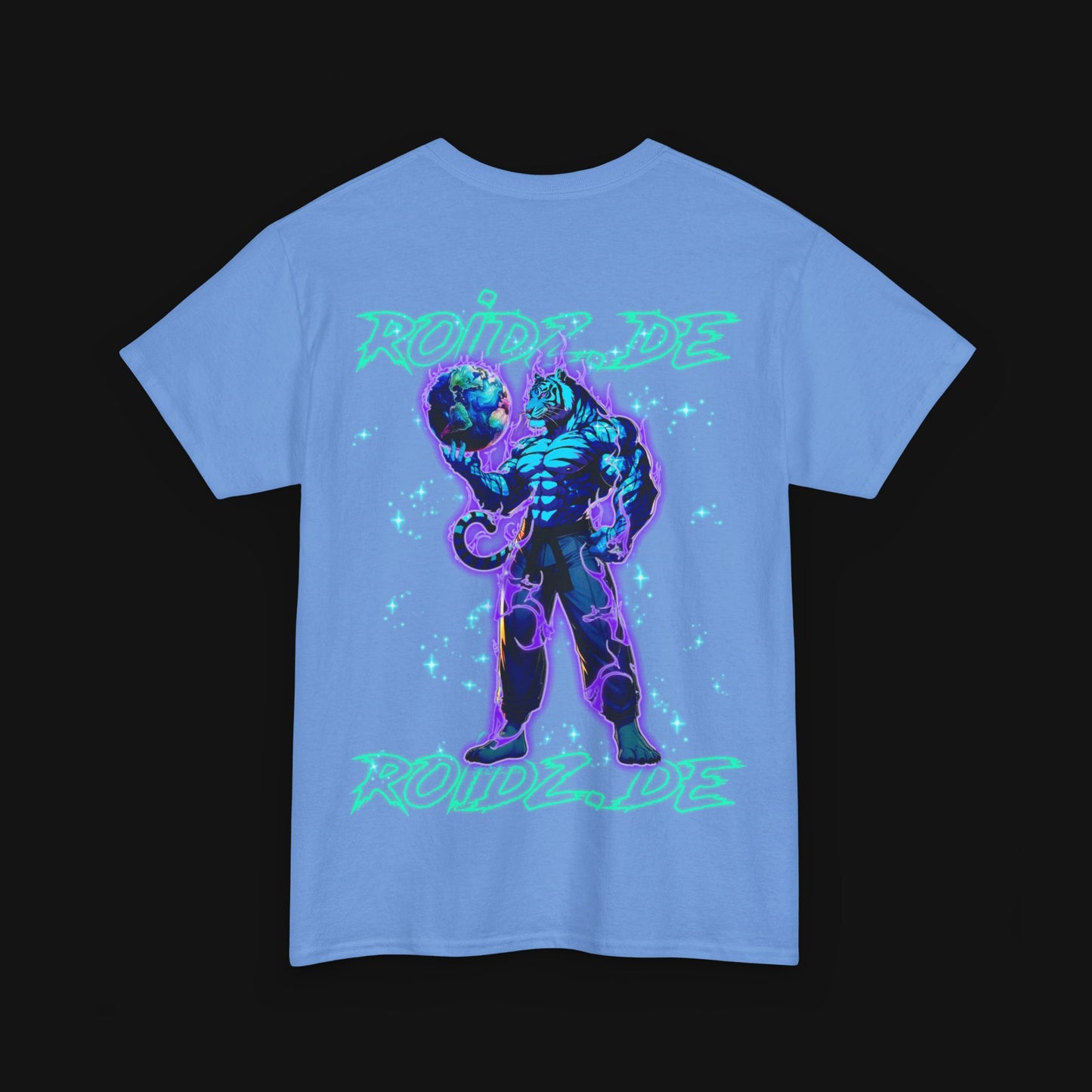 T-Shirt (100% Baumwolle) - Roidz, hinten
