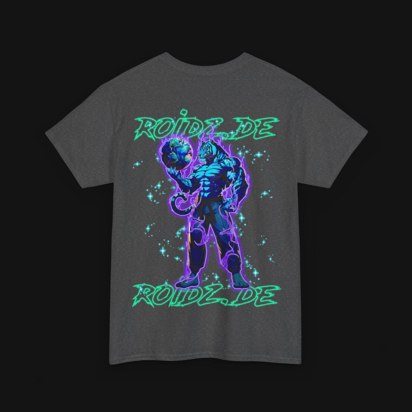 T-Shirt (100% Baumwolle) - Roidz, hinten