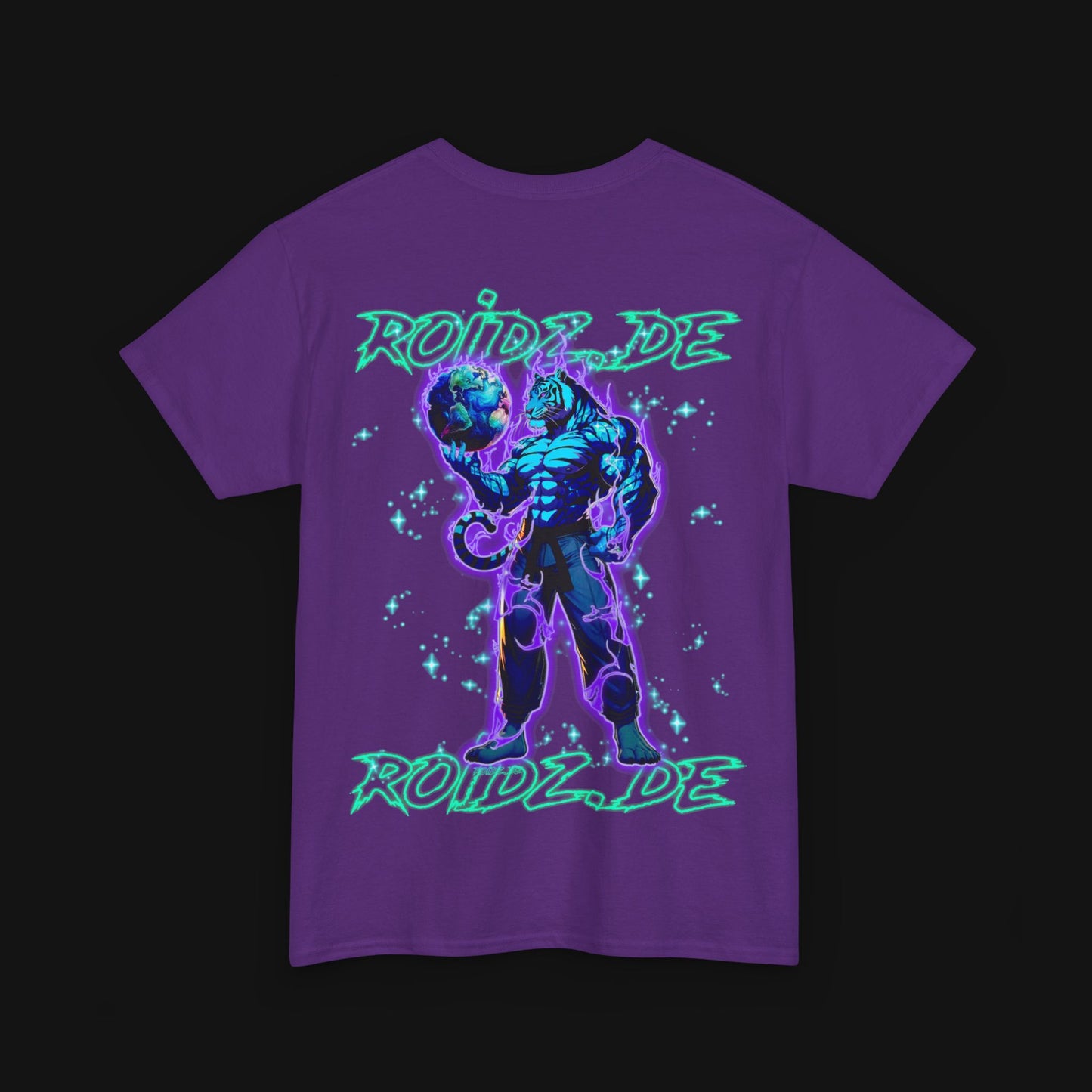T-Shirt (100% Baumwolle) - Roidz, hinten