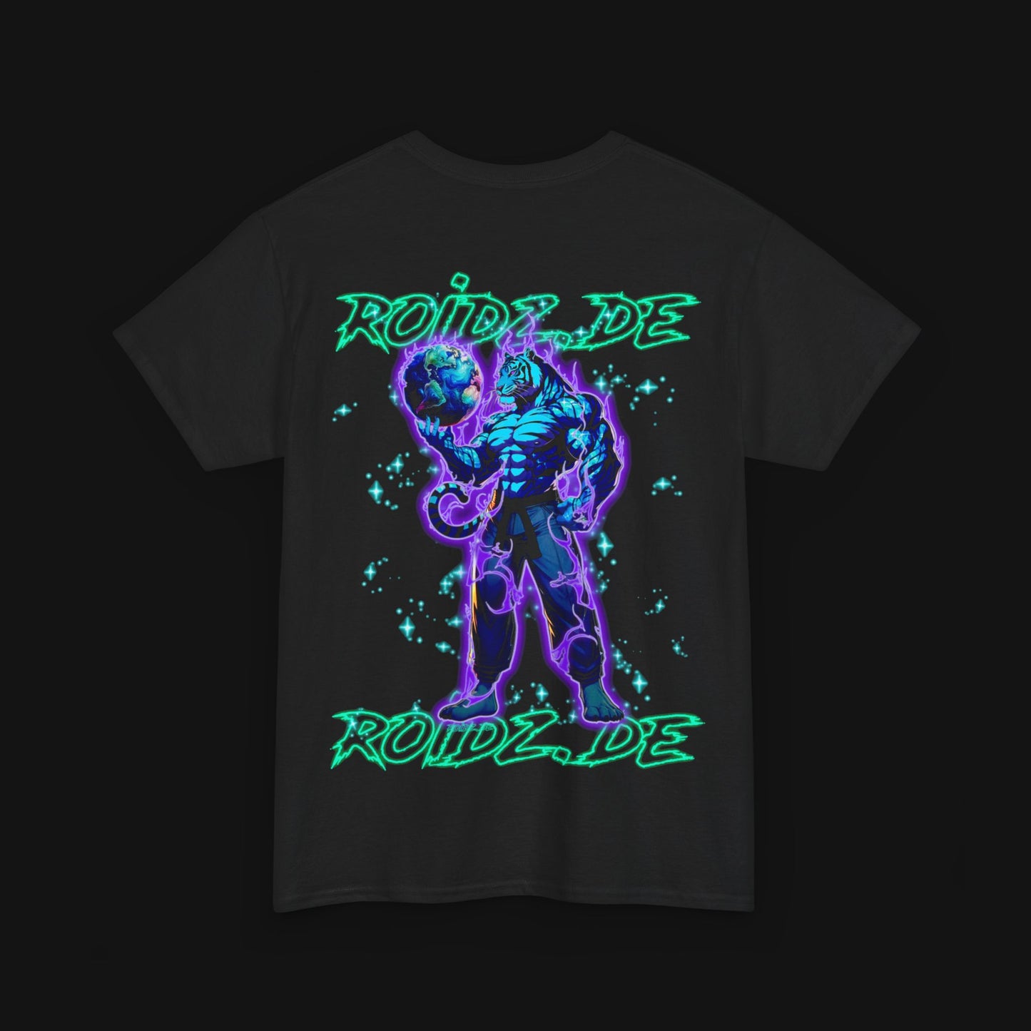 T-Shirt (100% Baumwolle) - Roidz, hinten