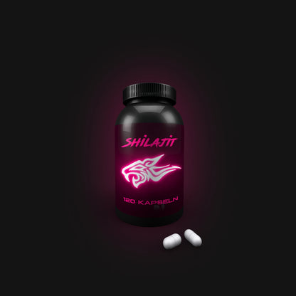 Shilajit - 120 Kapseln