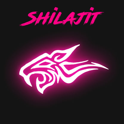 Shilajit - 120 Kapseln